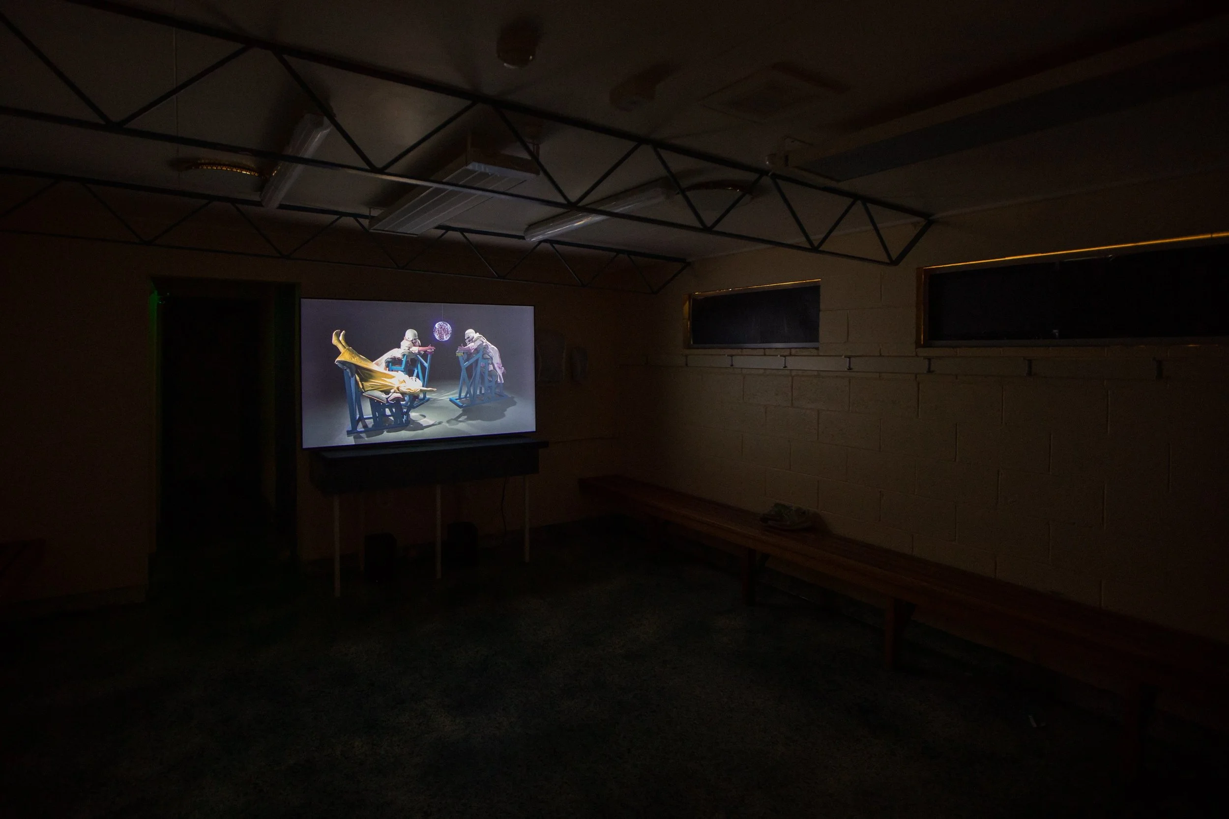 katy-b-plummer-beast-trinity-2019-installation-view-at-the-centre-elphin-sports-centre-mona-foma-2020_49457203081_o.jpg