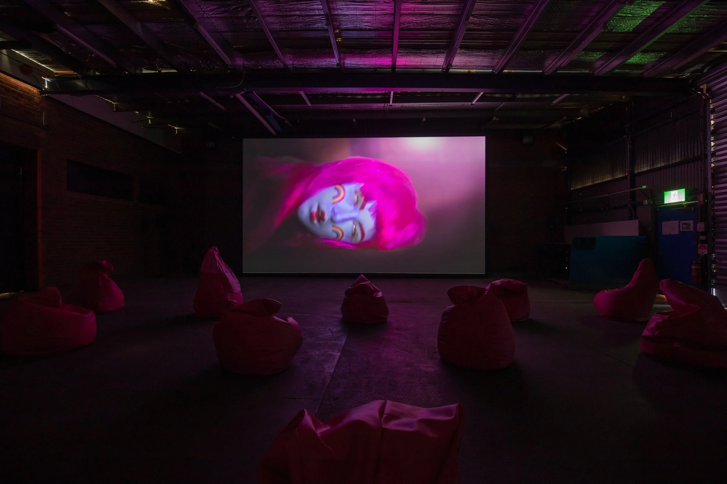 rachel-maclean-over-the-rainbow-2013-installation-view-at-no-place-like-home-kd-warehouse-mona-foma-2021_50857782981_o.jpg