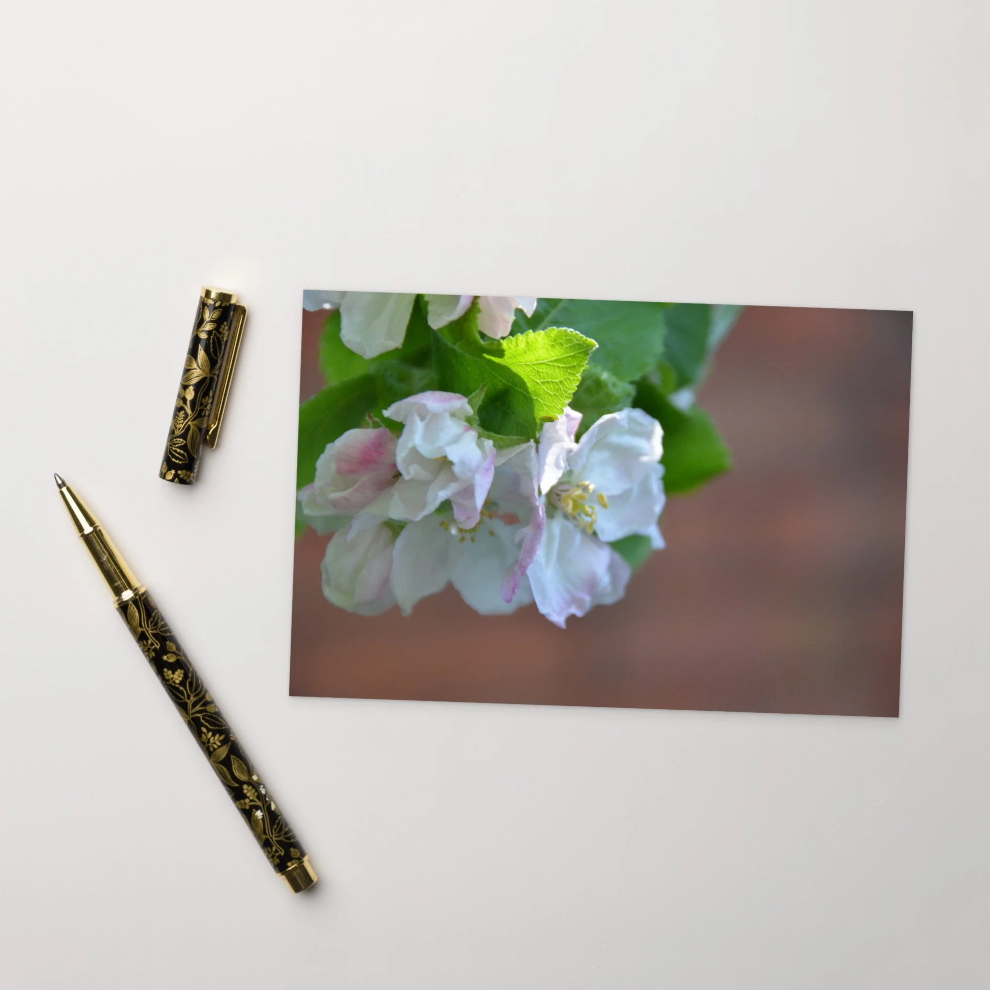 Apple Blossom