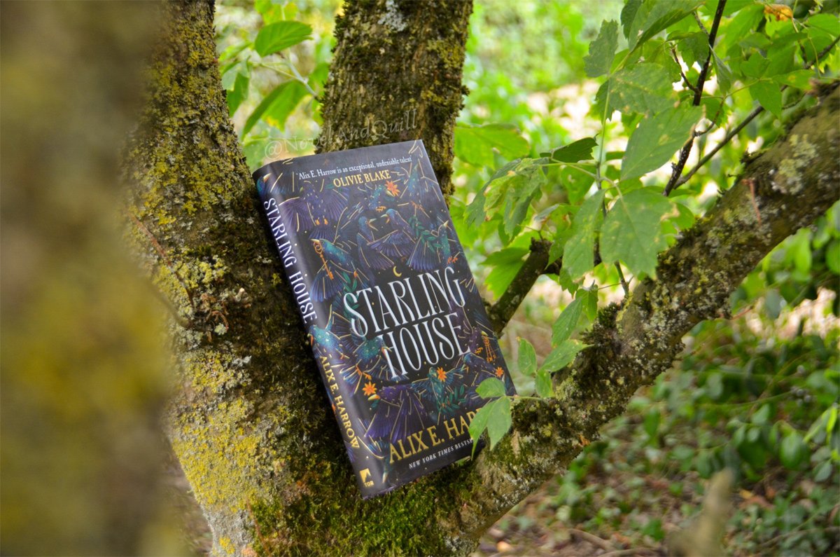 10 Dark and Atmospheric Books for Autumn and Fall