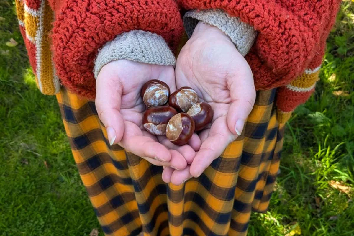 Welcome to November | November Check-in