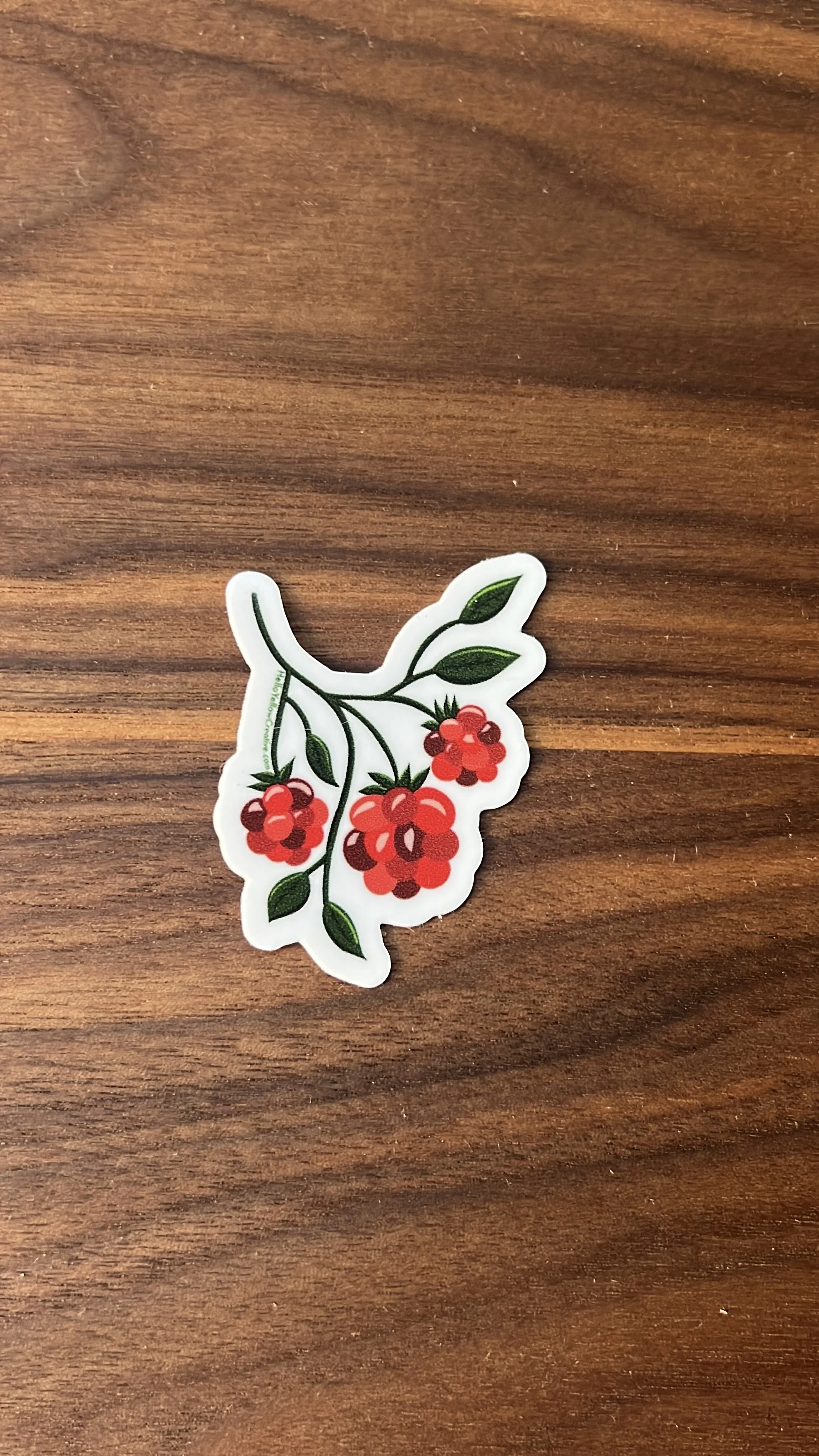 Raspberry Sticker 2"