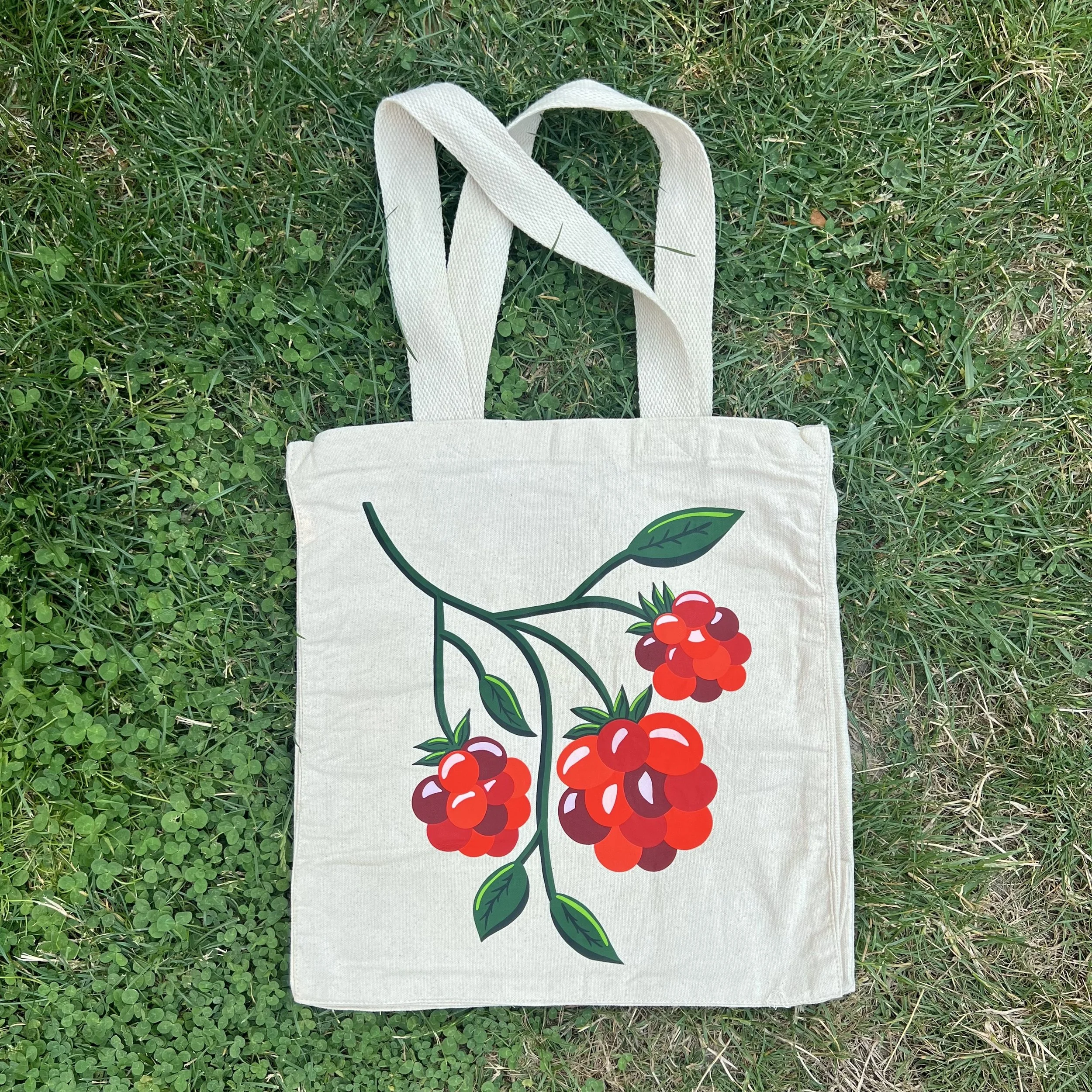 Raspberry Canvas Shopper Tote Bag