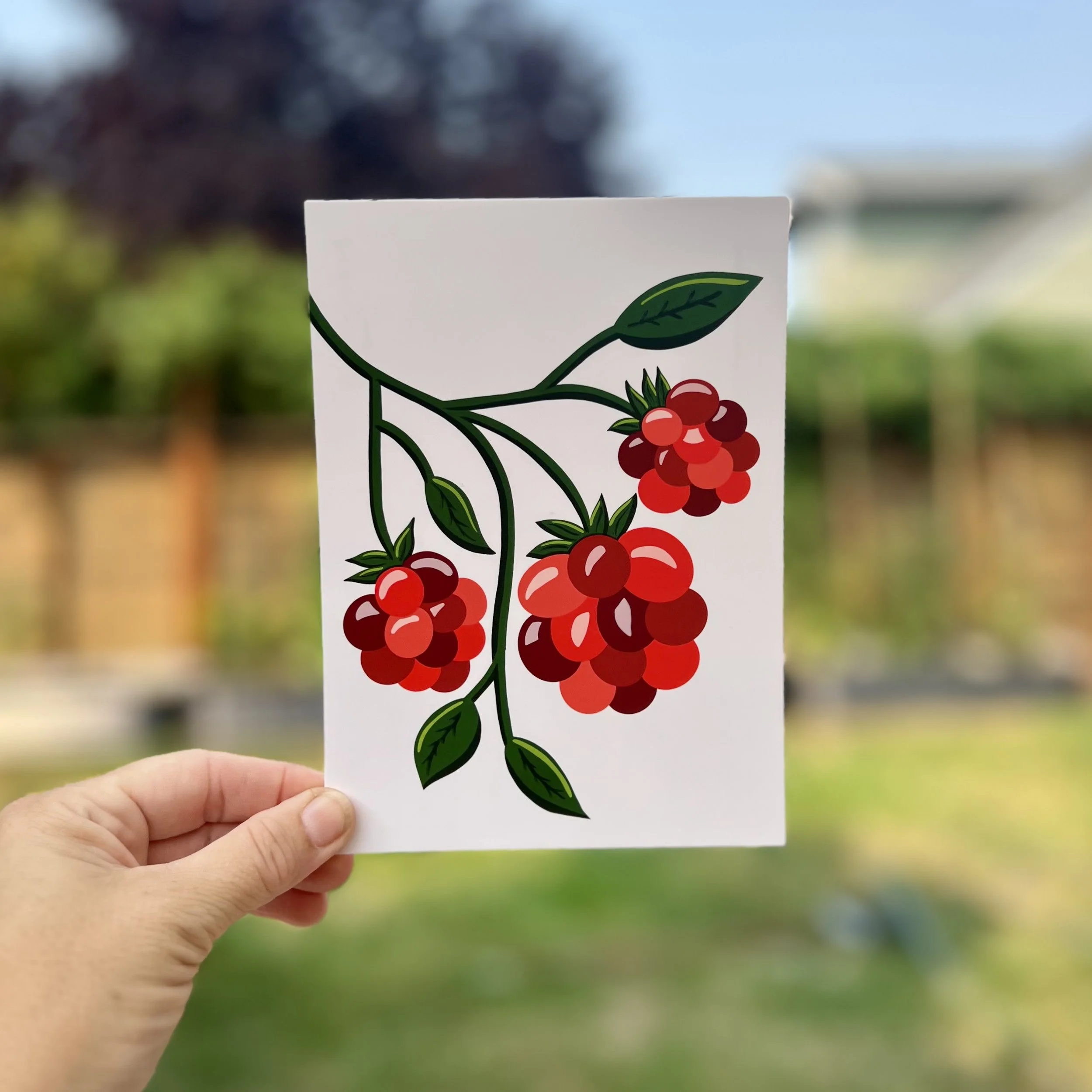 Raspberry 5"x7" Print / Postcard