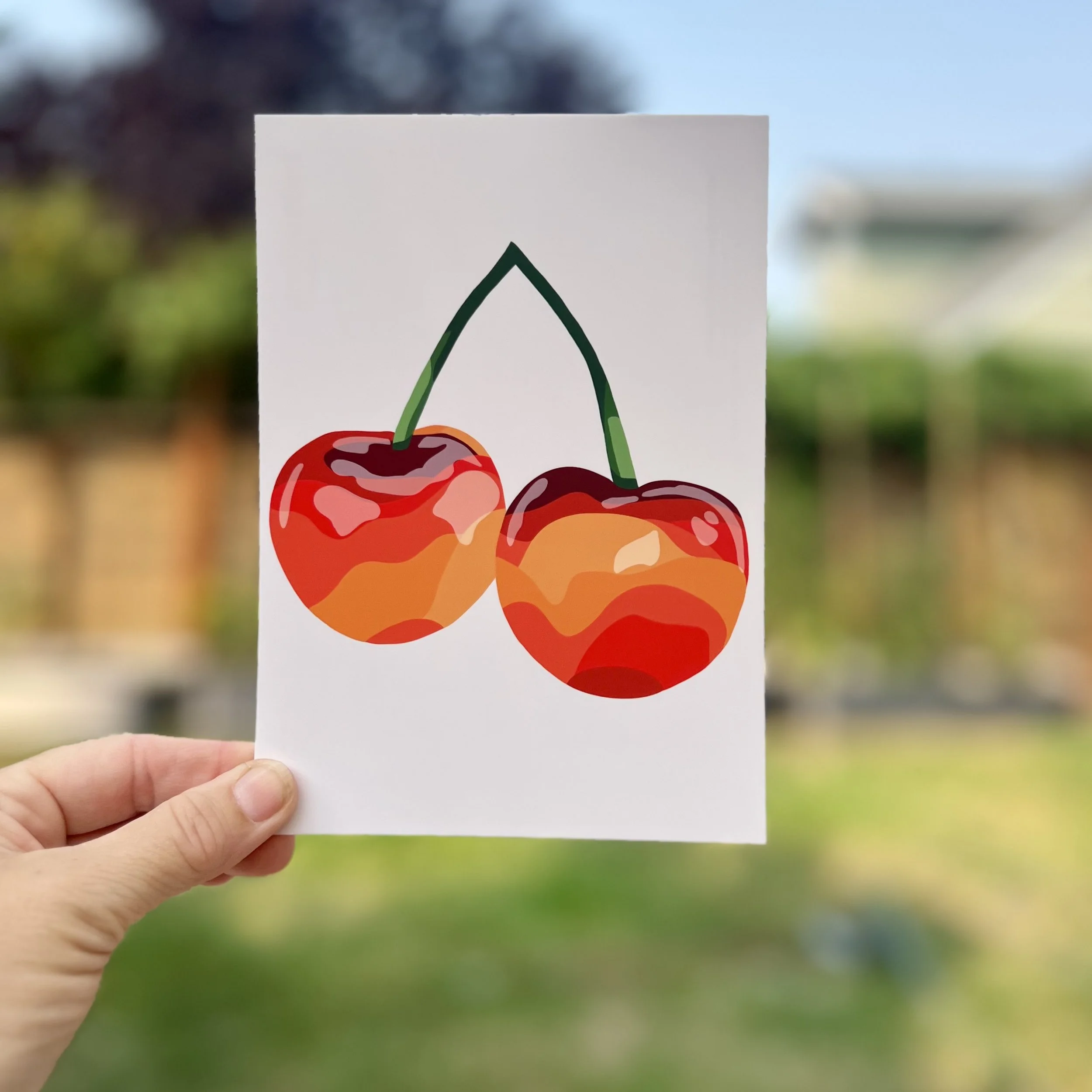 Rainier Cherry 5"x7" Print / Postcard