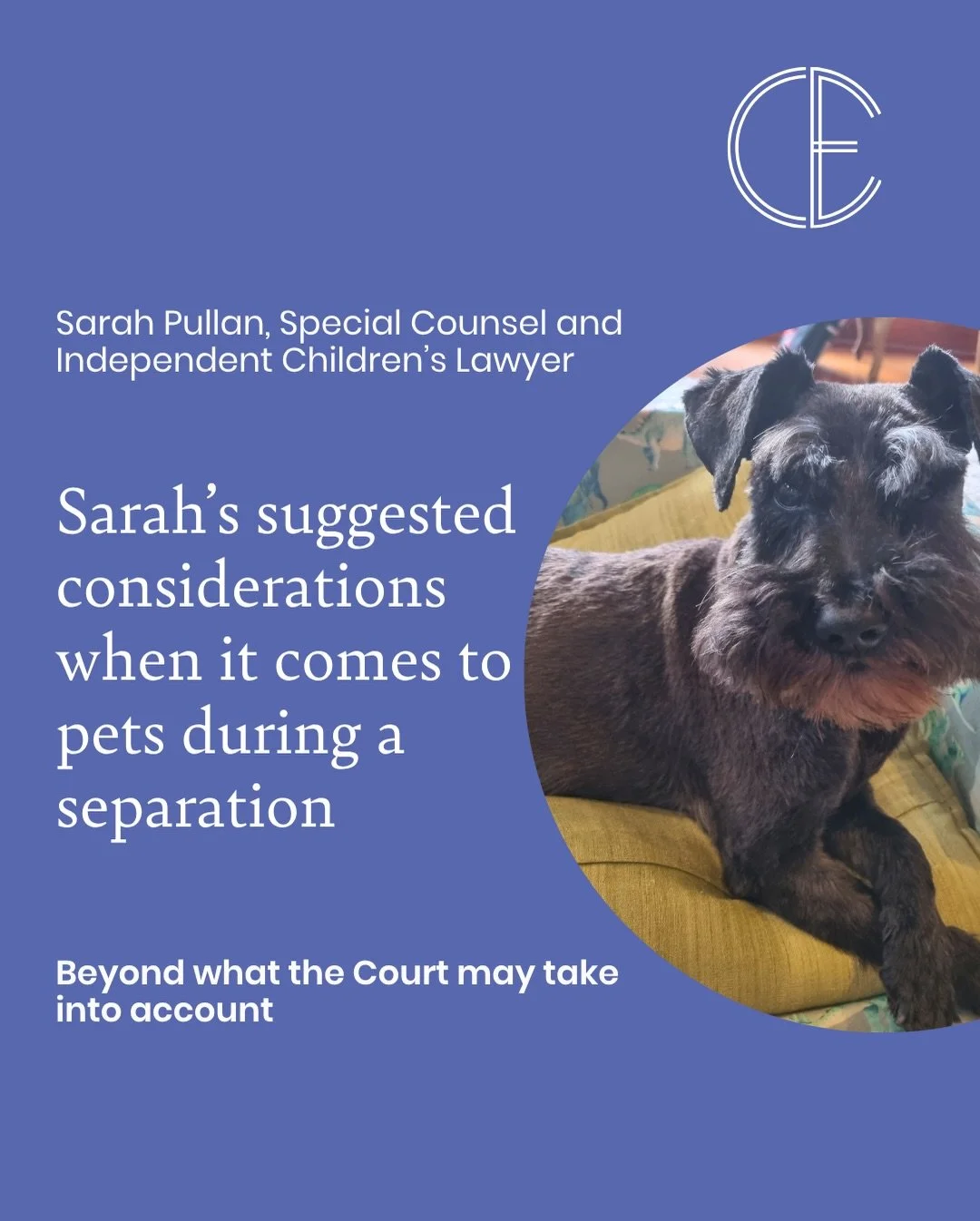 As pet owners know, our animals are more than a set of legislative provisions. Yet in Court, arrangements are determined without considering matters from the pet&rsquo;s perspective.
&nbsp;
Sarah Pullan, Special Counsel and ICL and dog mum of two m