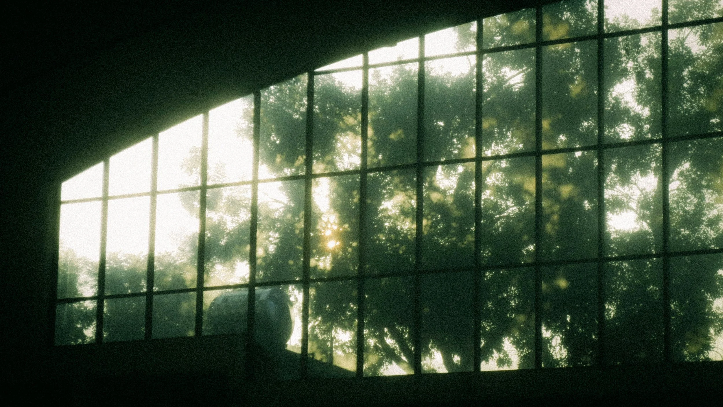 In search of lost leadership