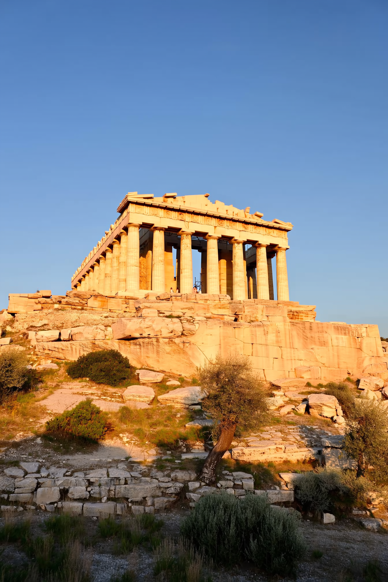 The Parthenon, an ancient Greek temple with tall columns, sits atop a rocky hill at sunset, with trees and shrubs in the foreground and a clear blue sky.