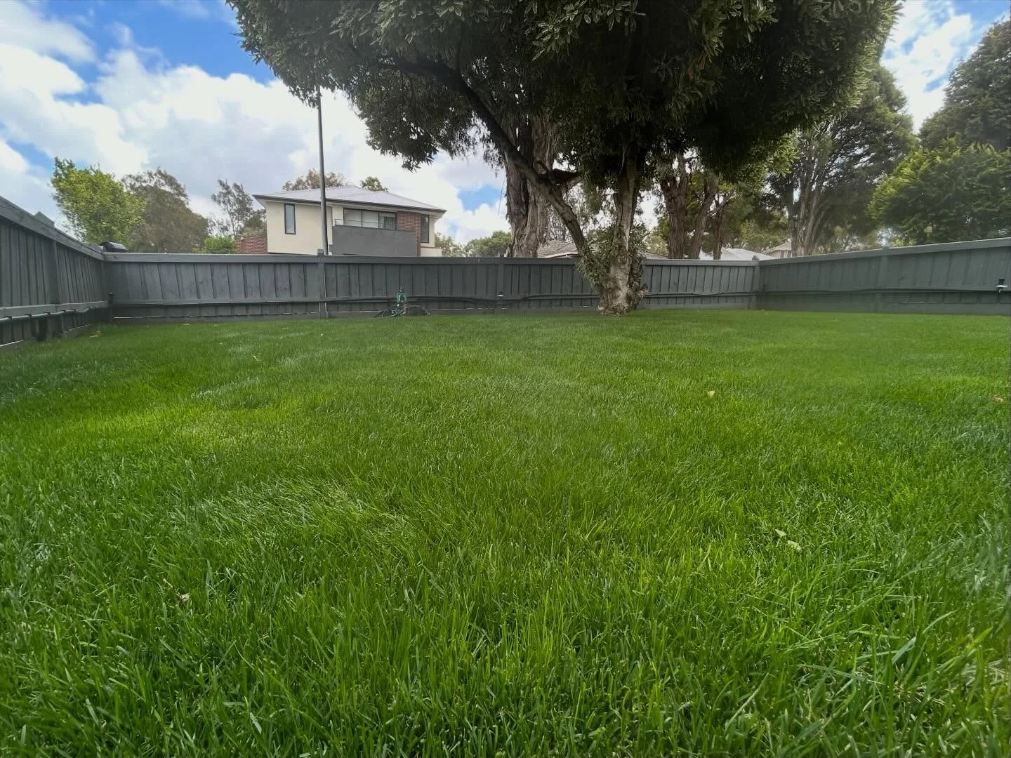 Nice little before and after of a mini lawn reno! 😮&zwj;💨 #lawn #lawncare #lawnrenovation #lawnreno