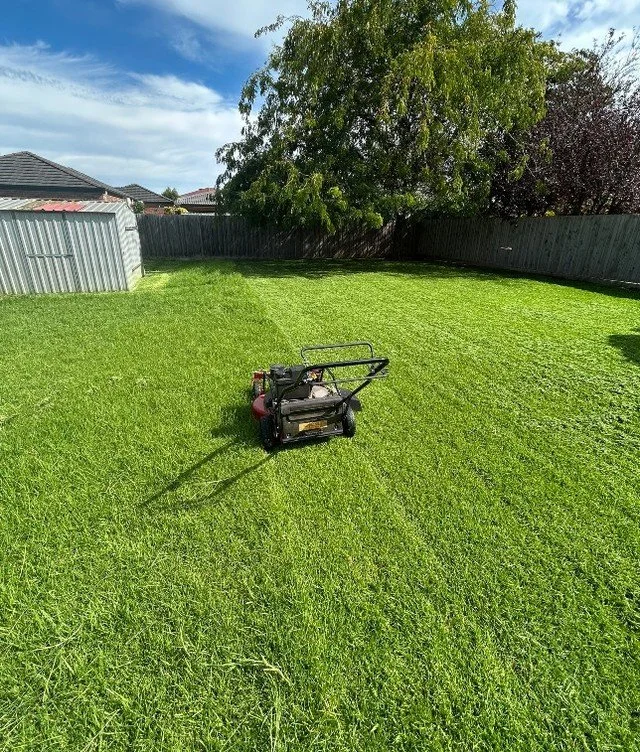 Trevor the TurfMaster hard at work! 💪