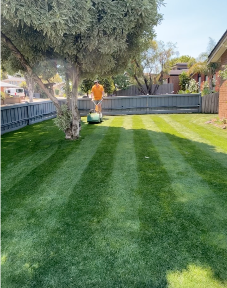 Person mowing a backyard lawn with a riding mower, trees, a blue fence, and neighboring houses.