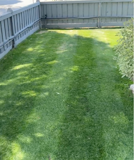 A fenced backyard with well-maintained green grass and some shadows from nearby trees.