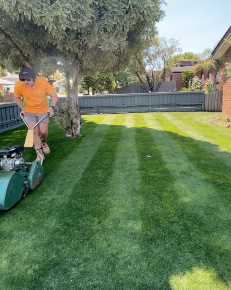Person mowing a green lawn with a push lawn mower in a backyard yard.