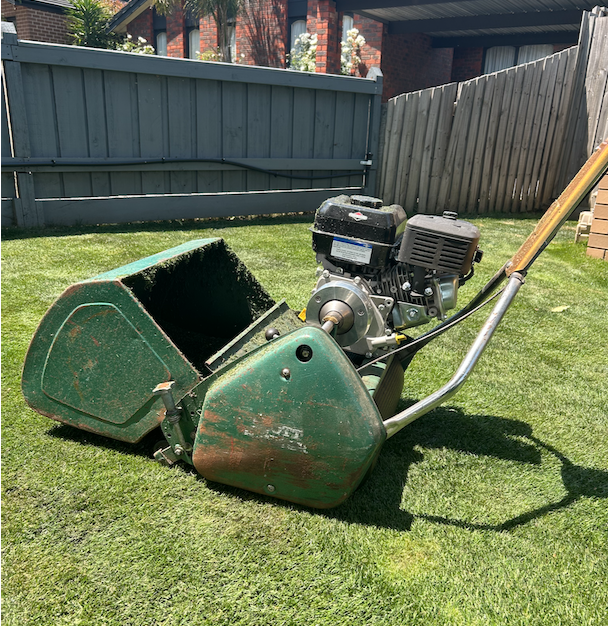 A walk-behind leaf vacuum or blower machine on a grassy lawn, with a small engine, metal frame, and collection bag, near a wooden fence and a brick building.