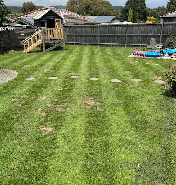 Backyard with freshly mowed grass, square stepping stones, a small wooden playhouse with stairs on the left, and a children's play area with toys and chairs on the right, enclosed by a tall wooden fence.