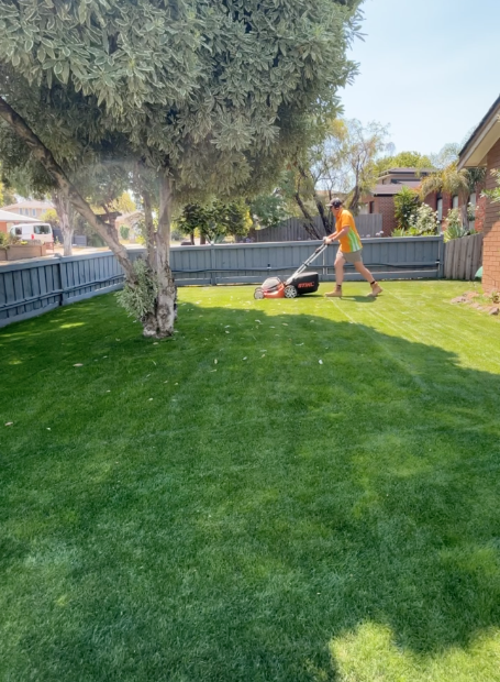 Person mowing a lush green lawn in a backyard with a fence and house in the background.