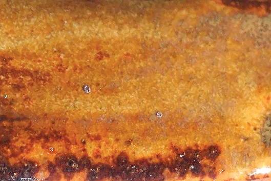 ANCIENT AMBER: A combination of rich shades of yellow, brown and orange