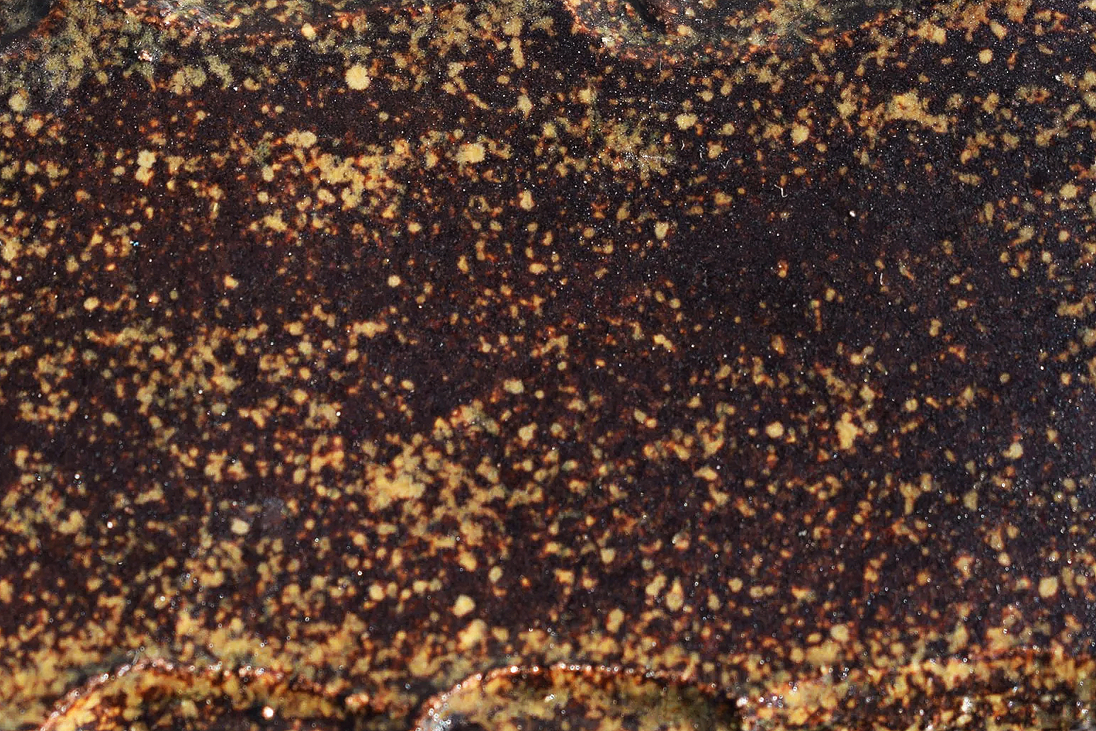 PINE BARK: Satin brown with beige spotting