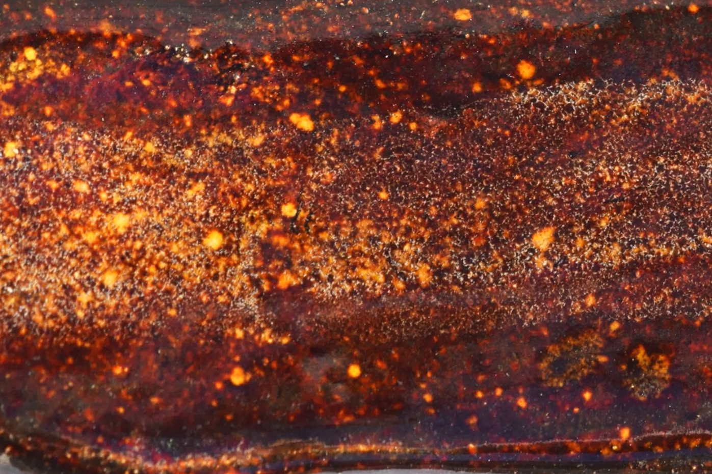 BURNT SUGAR: Deep reddish brown with light brown and yellow spotting