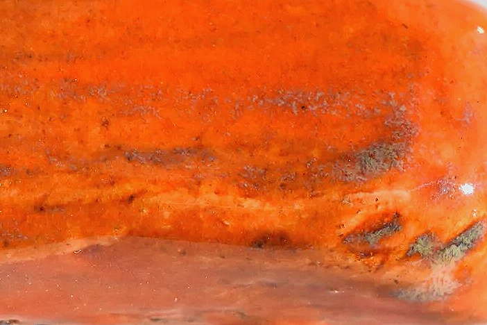 TROPICAL SUNSET: Bright orange with tiny spots of turquoise 