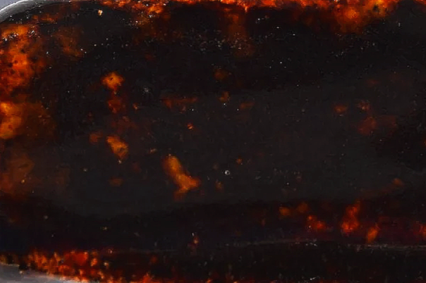 EMBER: A deep brownish black with fiery orange and yellow spots