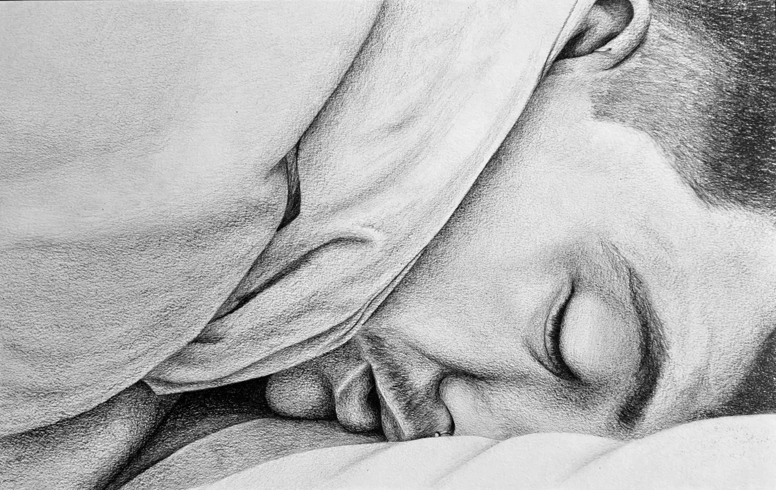 'Hibernation' | 2026 | Pencil on Paper | 25 x 40cm | Exhibited at subcult in 2026 | In Private Collection
