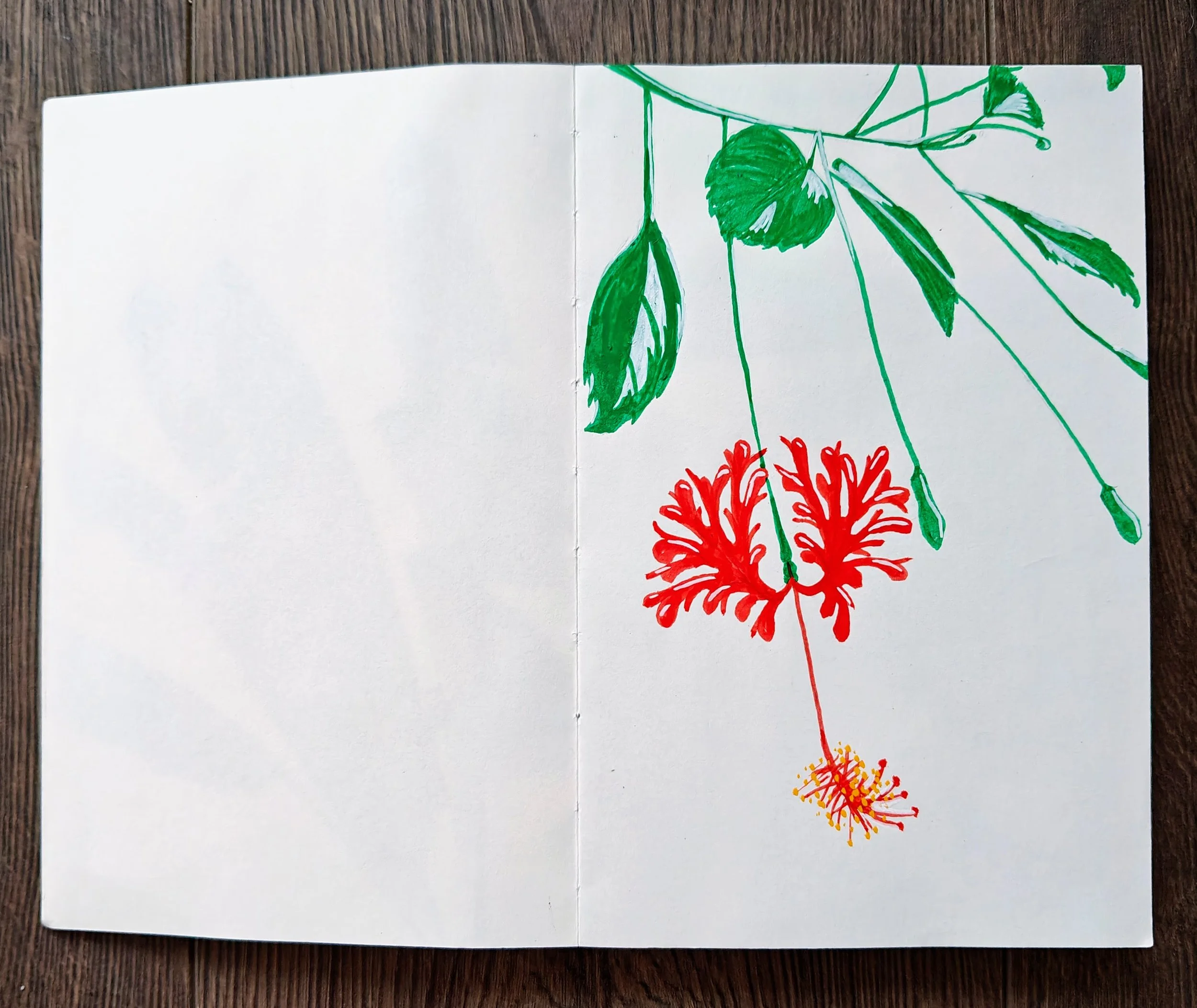 Illustration of a hanging red flower with green leaves and stems, drawn in a sketchbook on a wooden surface.