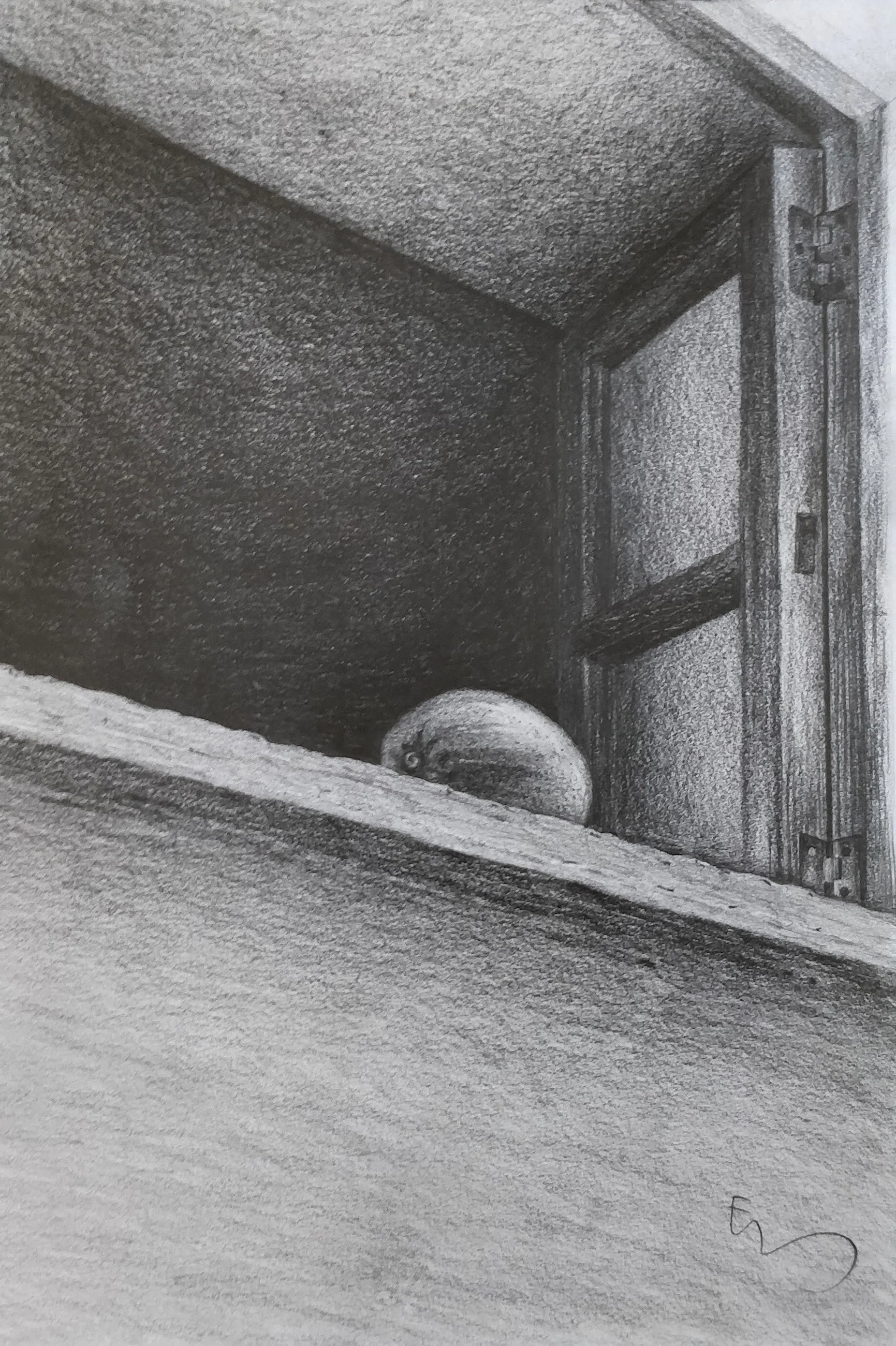 'Limon' | 2024 | Pencil on Paper | 29.7 x 21cm | Available for Purchase