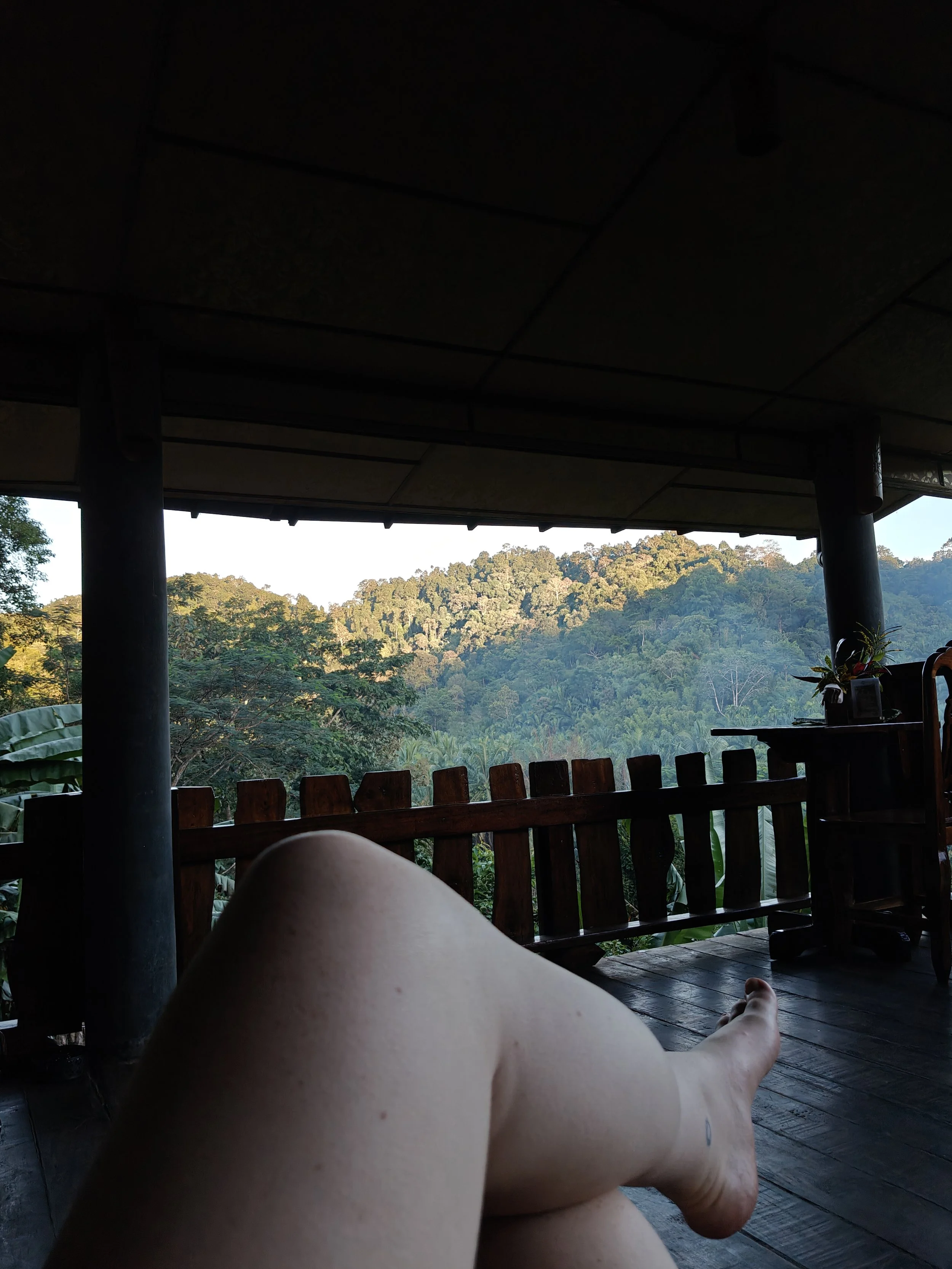 A person relaxing on a porch, with their legs visible, overlooking a lush, green hillside and trees during daylight.