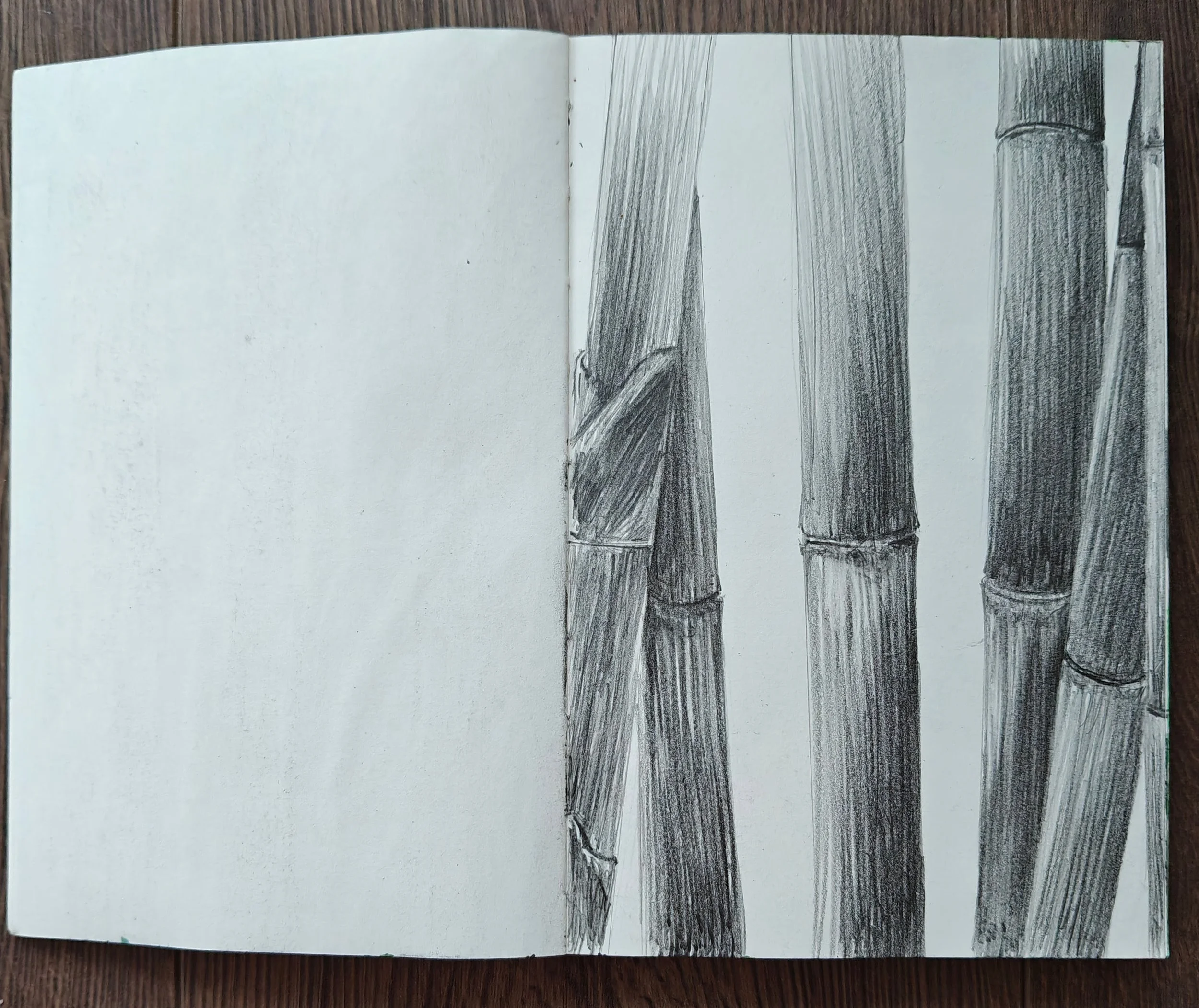 Sketch of bamboo stalks on the right page of an open sketchbook, with the left page blank, placed on a wooden surface.