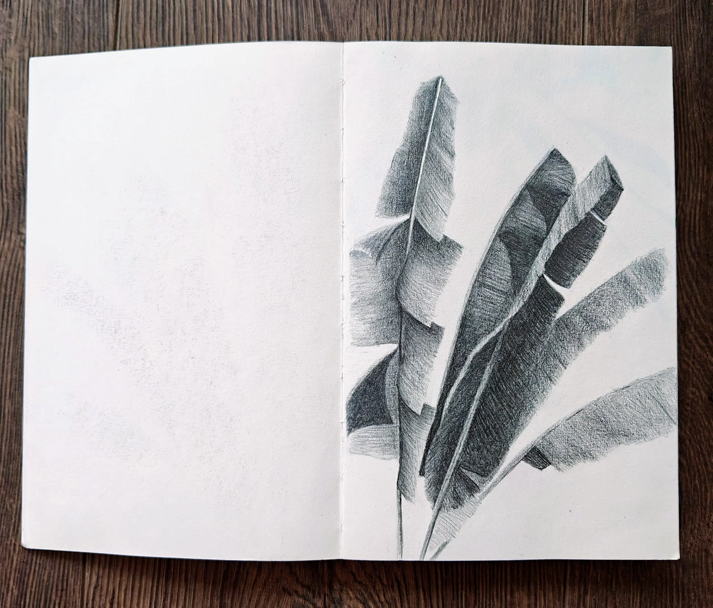 Pencil drawing of banana leaves, with intricate shading, on a white sketchbook resting on a wooden surface.