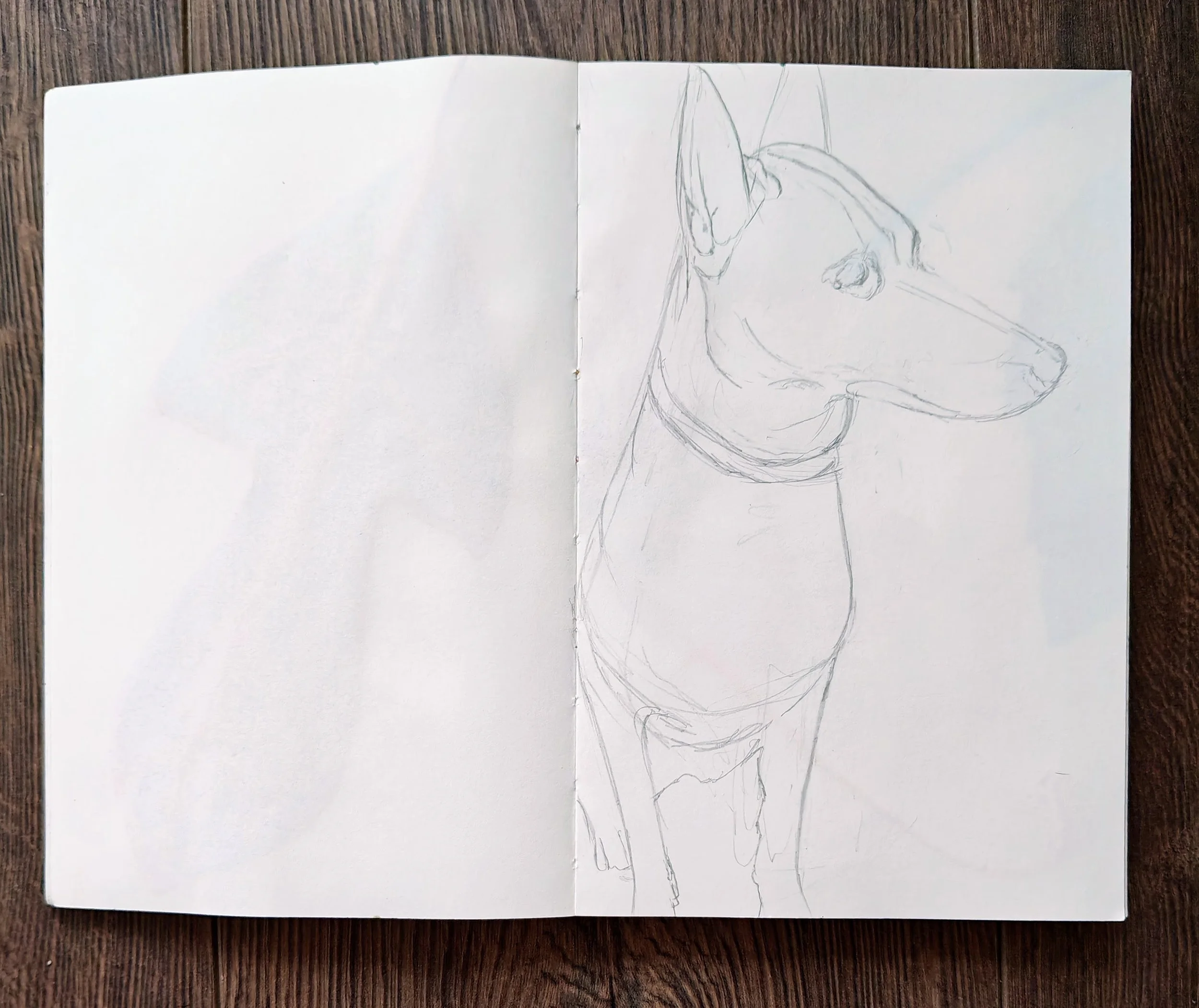 Sketch of a dog wearing a collar, drawn in a notebook on a wooden surface.