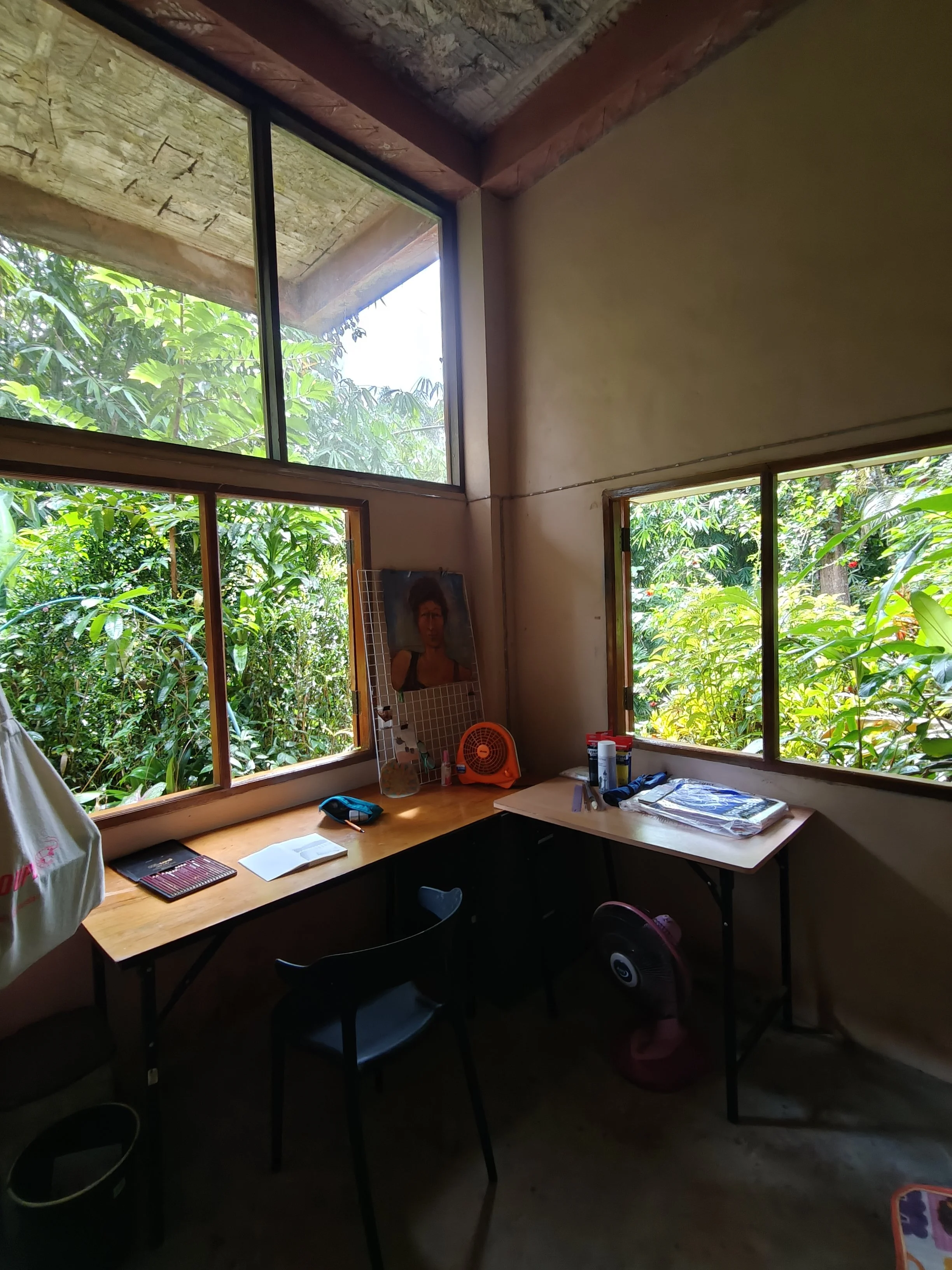 A cozy room with two wooden desks near large windows overlooking lush green plants outdoors. The desks hold a few books, papers, a photo, and small decor items. There's a black chair in front of one desk and a pink fan underneath the other. The room 