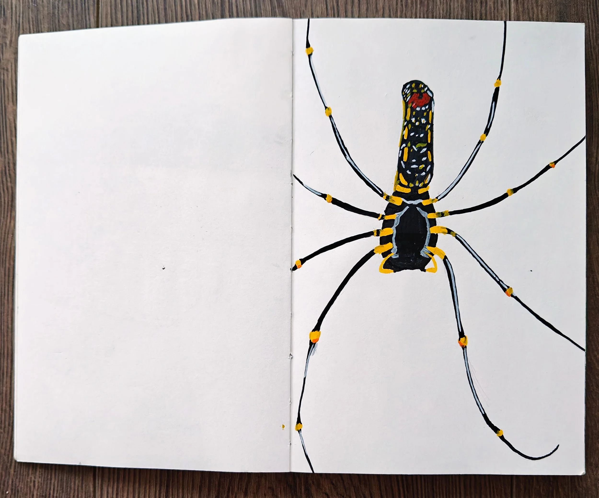 A detailed illustration of a black and yellow spider on a white background.