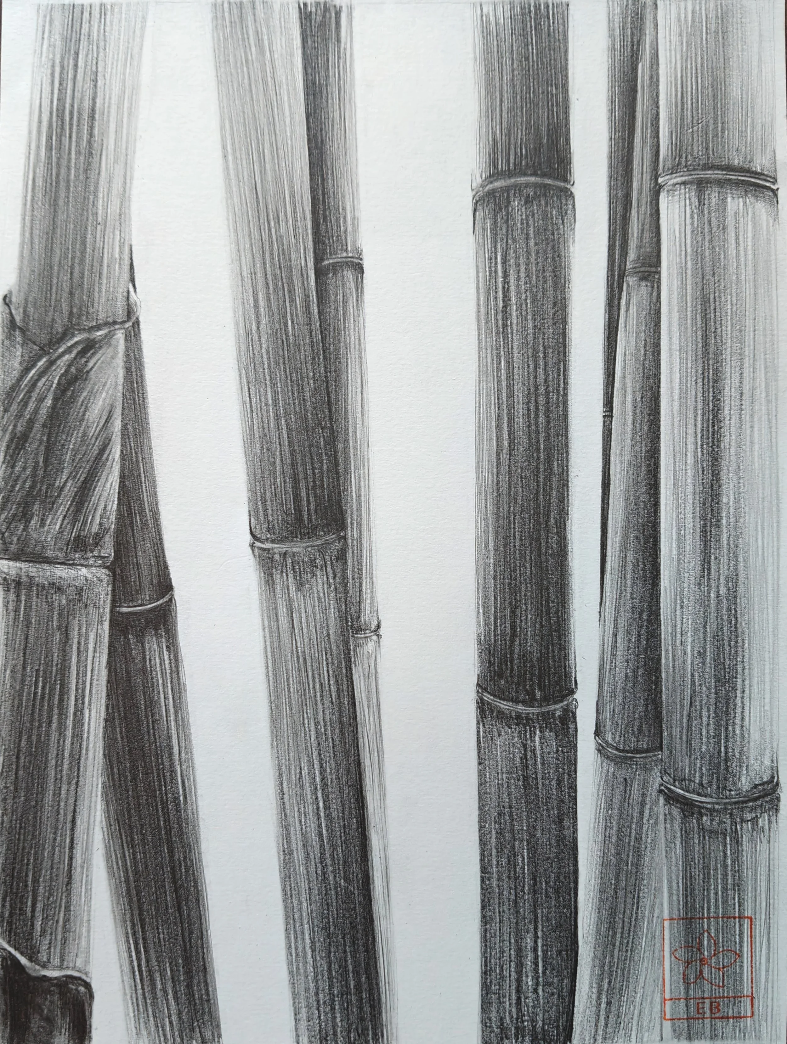 Black and white drawing of bamboo stalks.