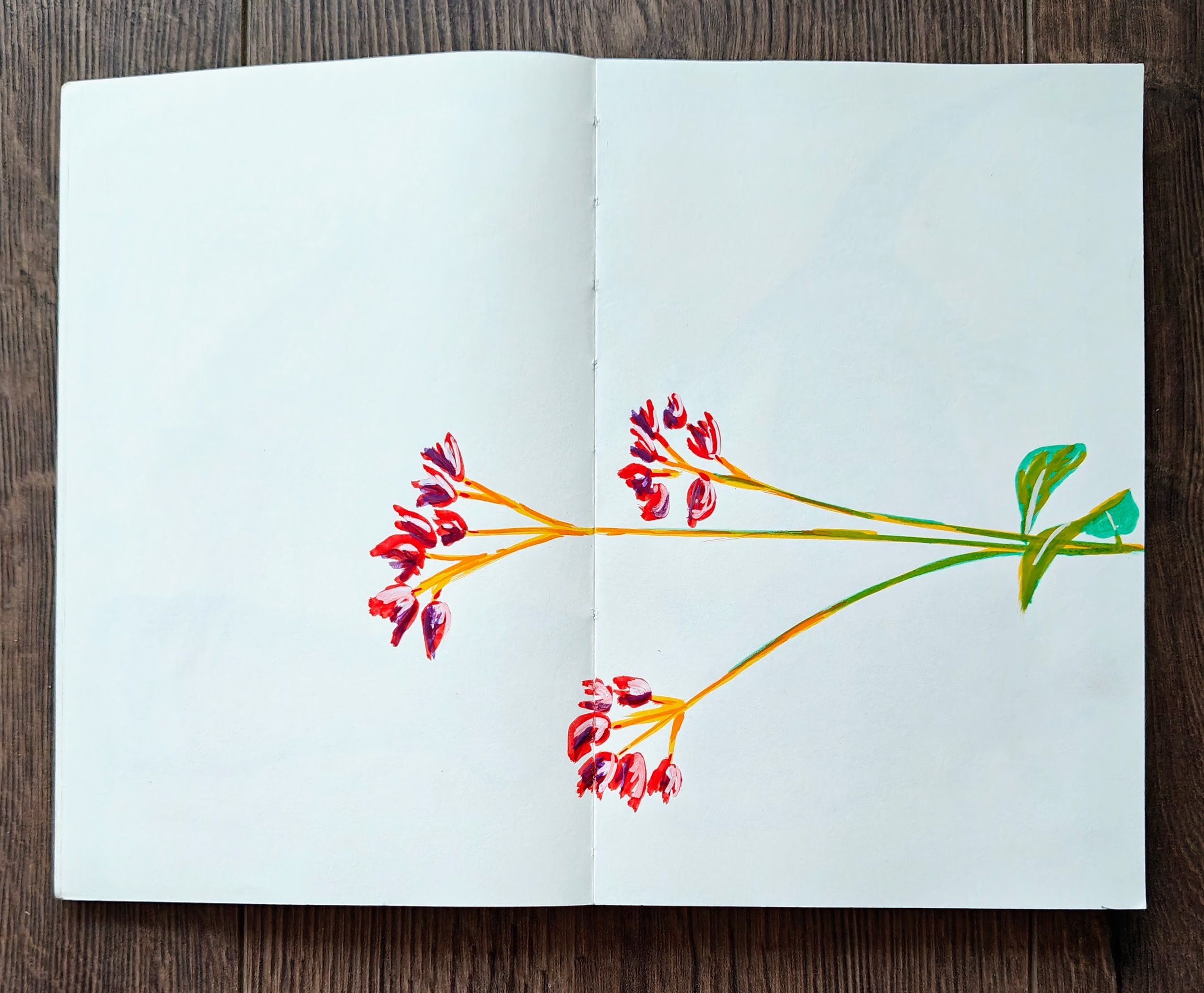 A sketch of a flowering plant with red and purple buds and green leaves, drawn with colored markers or watercolors on a blank white open notebook or sketchbook.