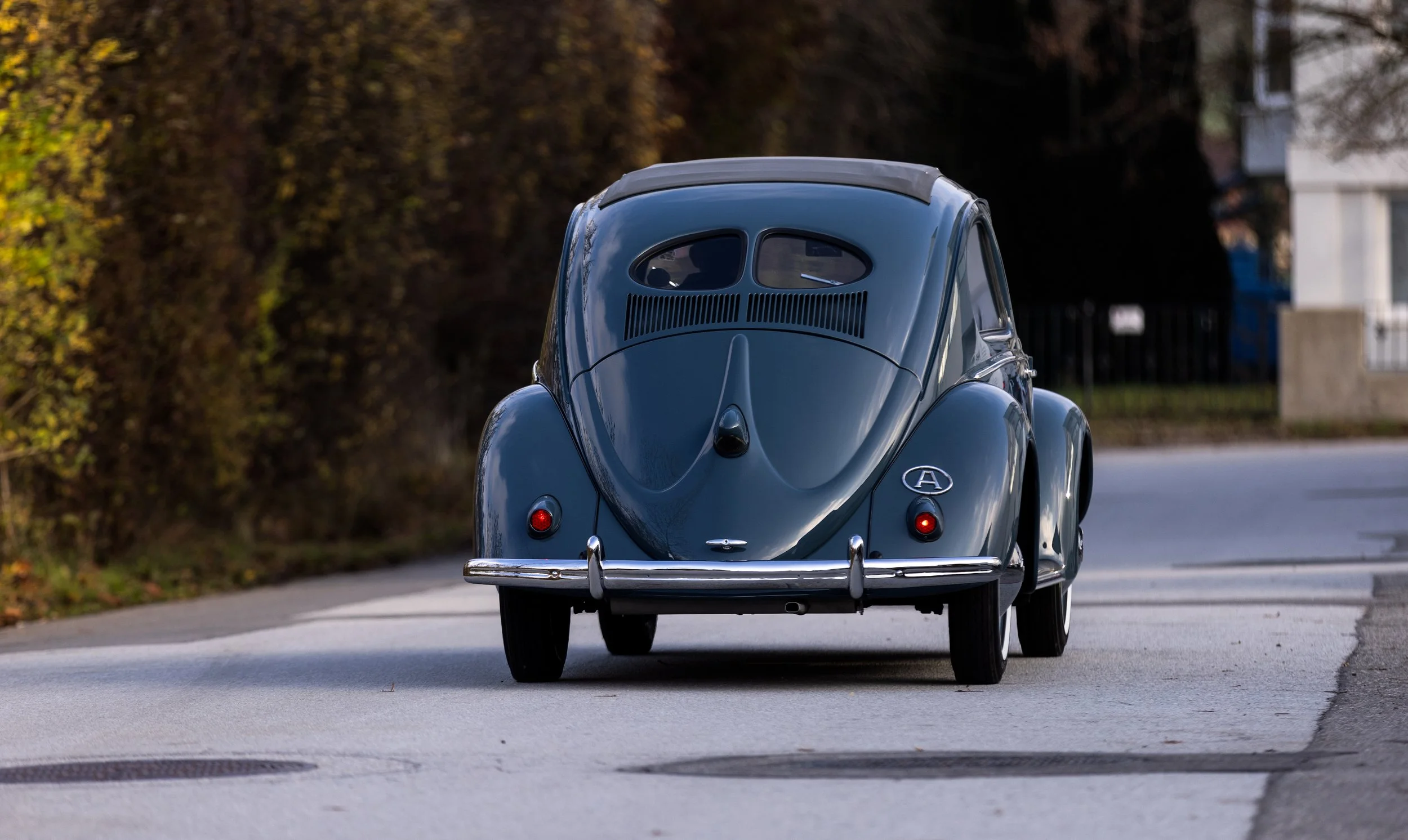 VW Käfer Brezel Oldtimer von hinten fotografiert. Typisches geteiltes Heckfenster und originalgetreue blaue Lackierung. Restaurierter Klassiker der 1950er Jahre auf einer Landstraße in herbstlicher Umgebung.