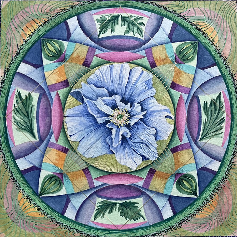 Blue Poppy