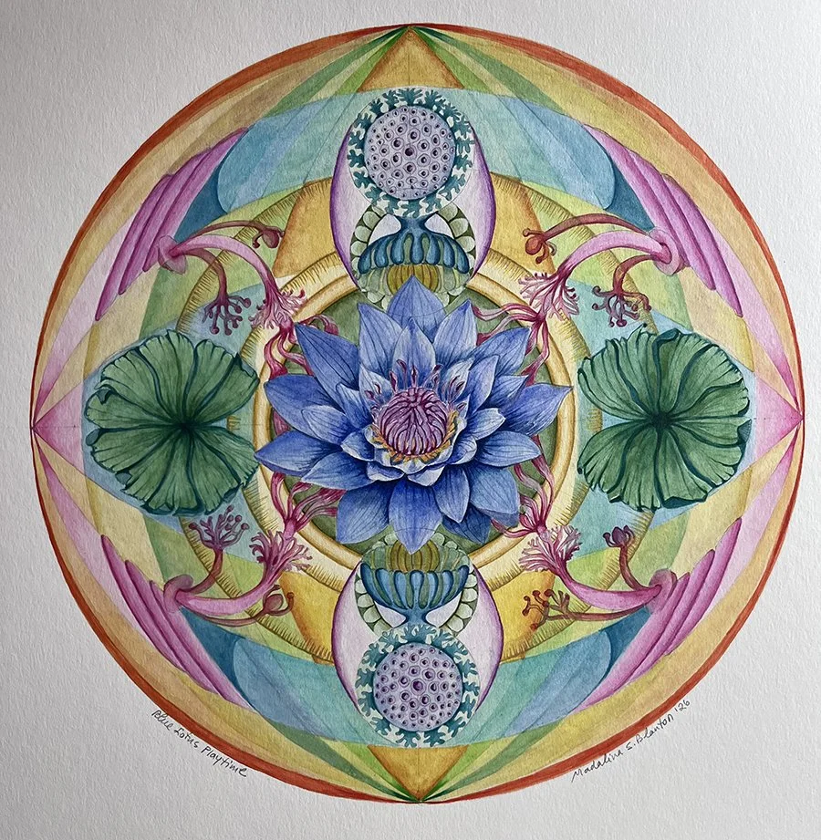 Blue Lotus Playtime