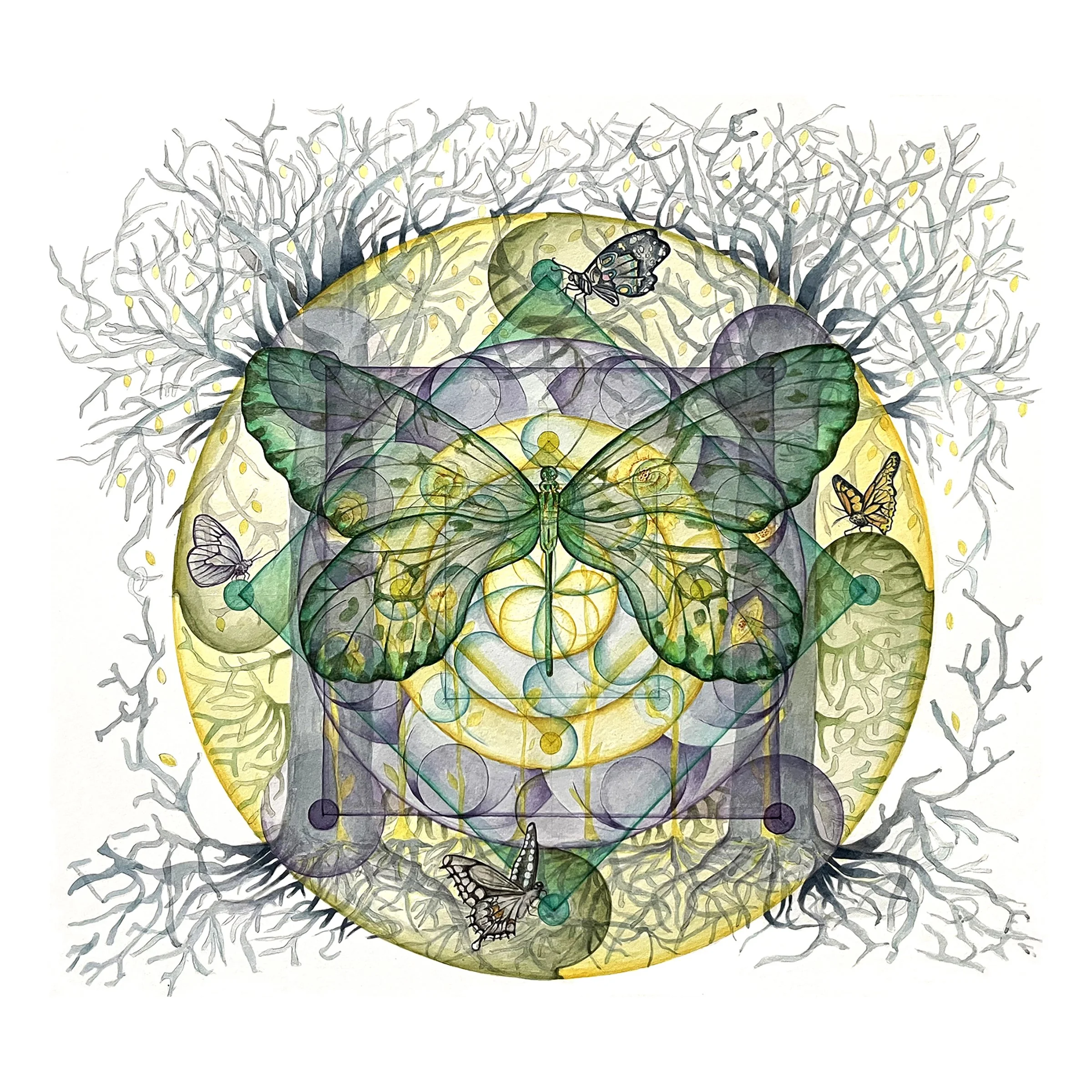 Emergence