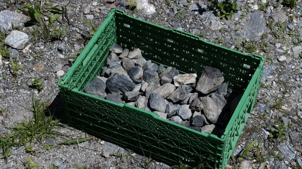 Control of Natural Space N°14, 2025 © Pedro Rodrigues Studio