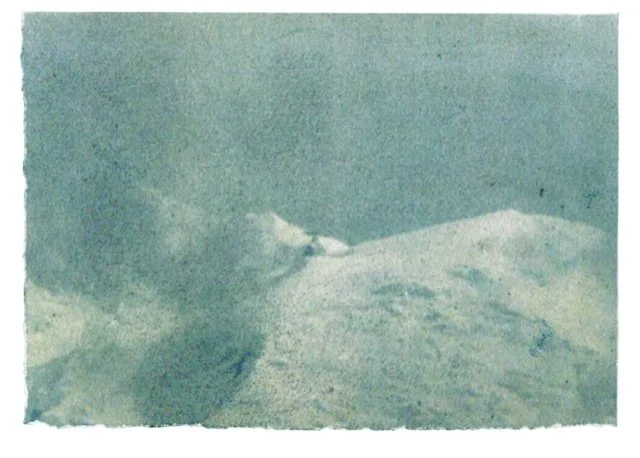 Christine Mühlberger