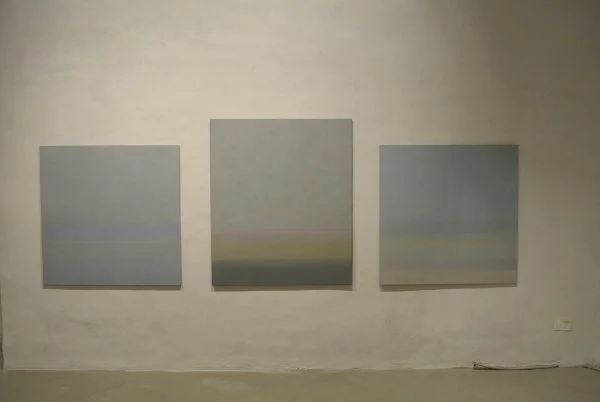 Verena Troger-Imboden, Janos Németh, Mirjam Helfenberger