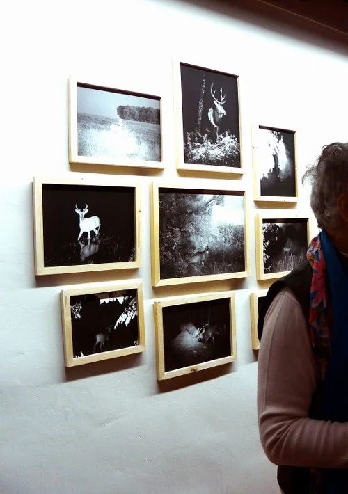 kantonale Schaffensbeiträge