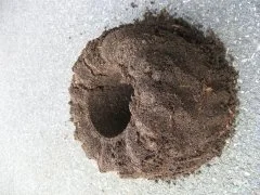 Susanne Glauser, Anne-Chantal Pitteloud &amp; Eva-Maria Pfaffen