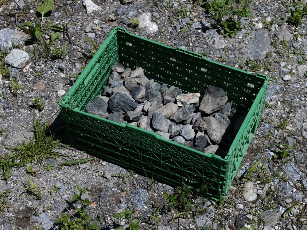 Ohne Titel, Pedro Rodrigues