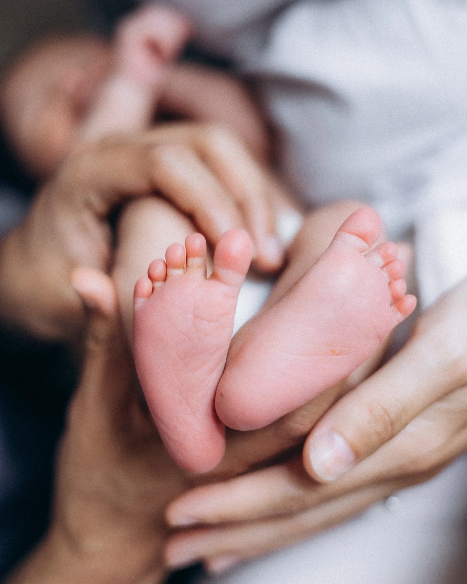 Newborn baby's feet held by parents' hands, family portrait London