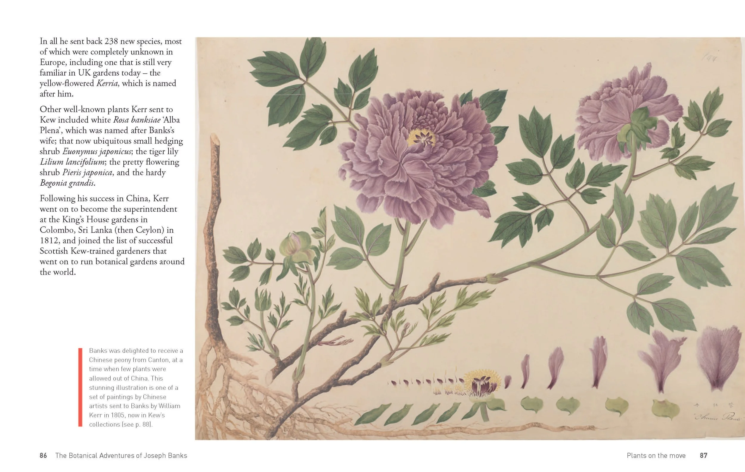 Botanical Adventures of Joseph Banks_18may_Page_44.jpg