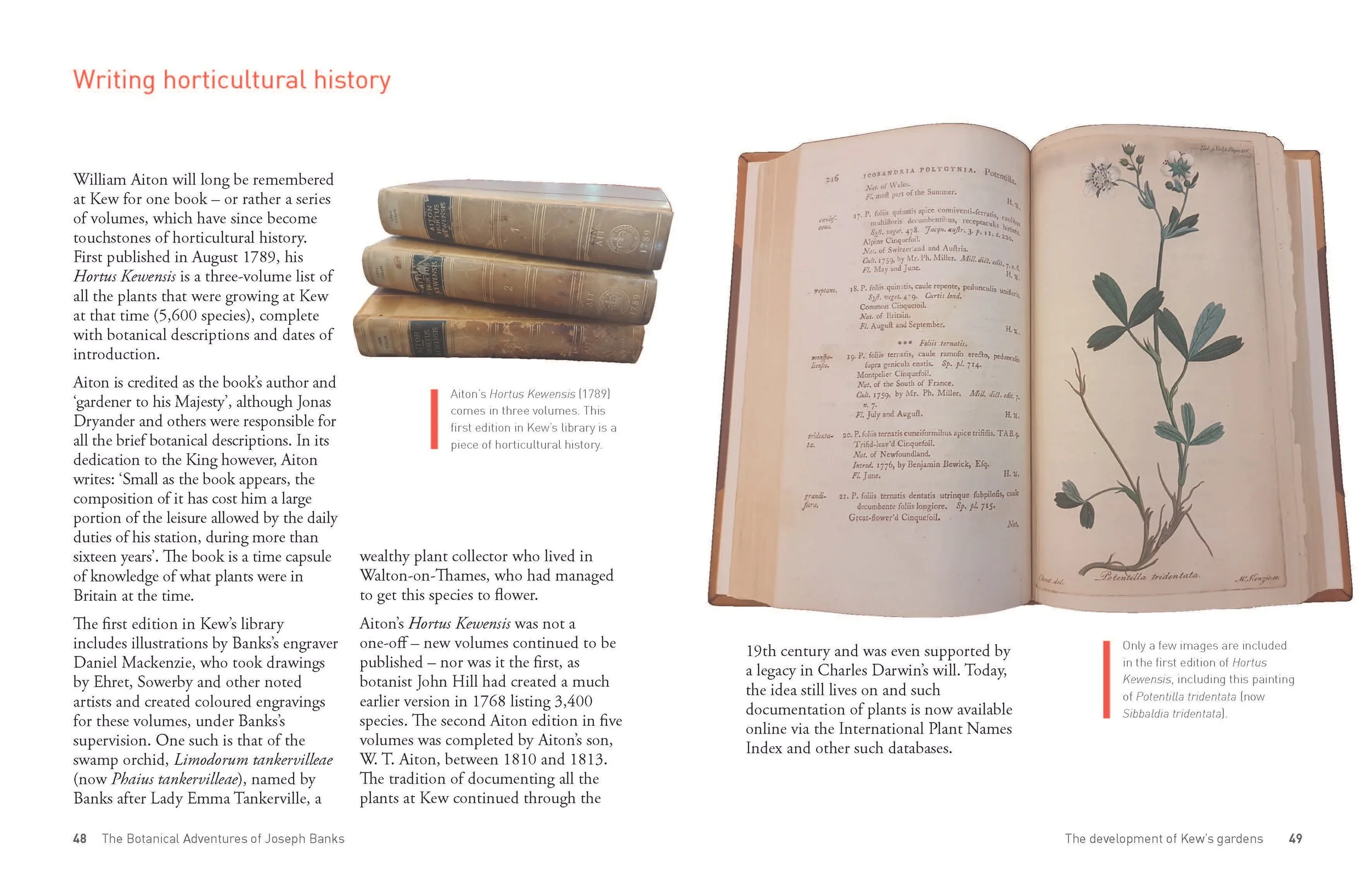 Botanical Adventures of Joseph Banks_18may_Page_25.jpg