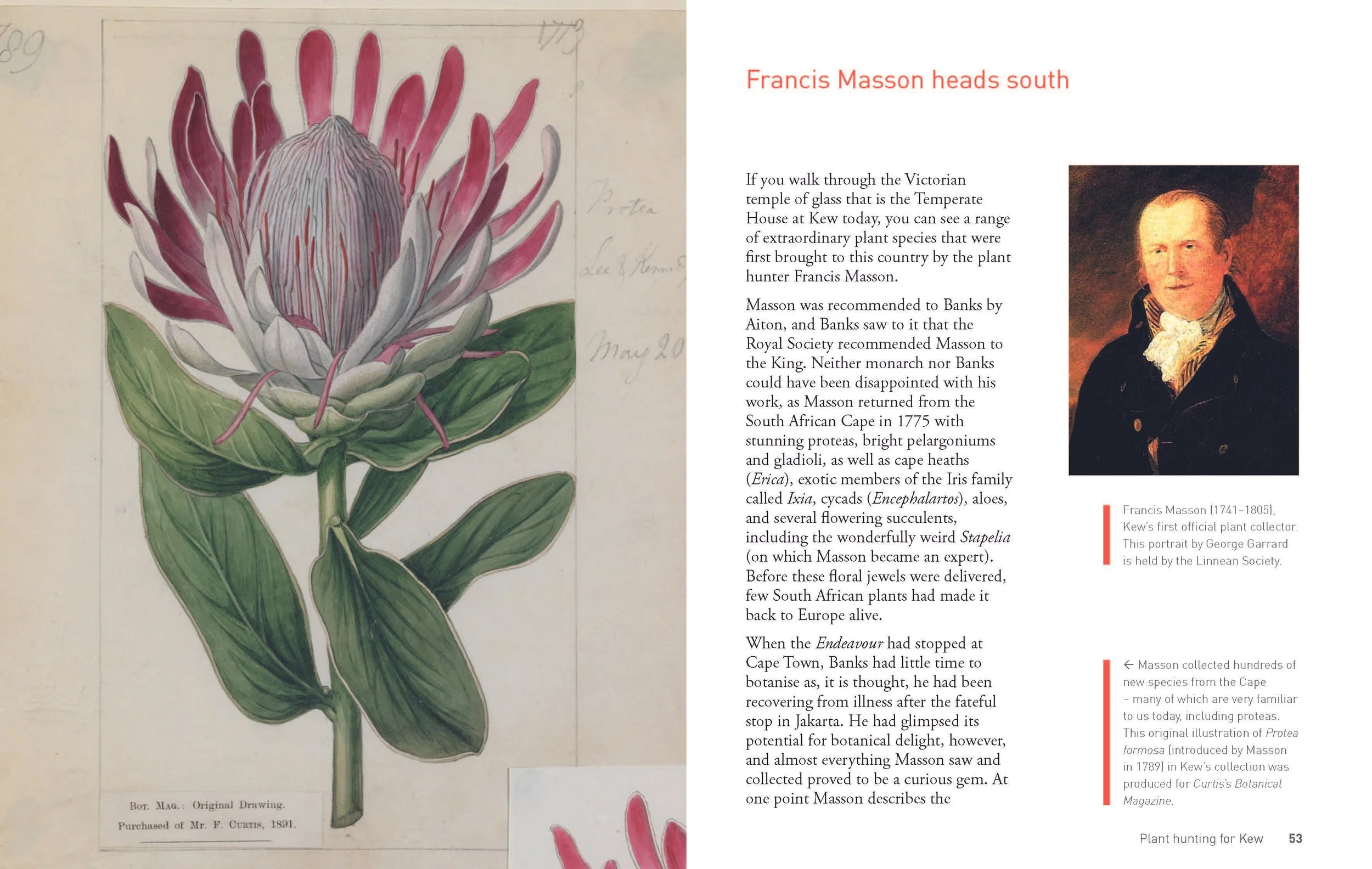 Botanical Adventures of Joseph Banks_18may_Page_27.jpg